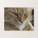 Search for orange cat puzzles Cute