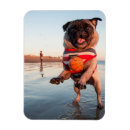 Search for fetch magnets Puppy