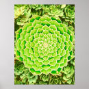 Search for mandala photography Spiritual