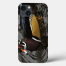 Search for crystal cases Colourful