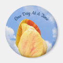 Search for 12 magnets Encouragement