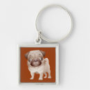 Search for pug key rings Cartoon