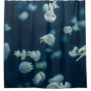 Search for jellyfish shower curtains Photography