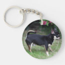 Search for bob hair key rings Canine photographer