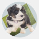 Search for mountain art stickers Puppy