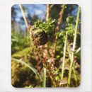 Search for fern mousepads Green