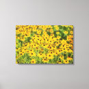 Search for eis art Black eyed susan