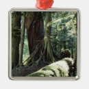 Search for original christmas tree decorations Nature