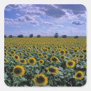 Search for crops stickers Foliage