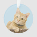 Search for ginger cat christmas tree decorations Animals