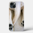 Search for butt electronics Dog