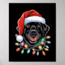 Search for christmas tree lights posters Donald