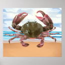 Search for crustacean posters Nautical