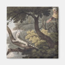 Search for 1770 magnets Heaviside