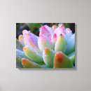 Search for drop canvas prints Photography