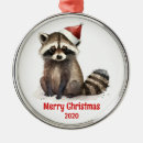 Search for racoon christmas tree decorations Watercolor