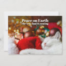 Search for funny cat christmas cards Humour