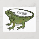 Search for iguana postcards South america