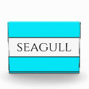 Search for seagull White