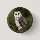 Search for owl badges Barn