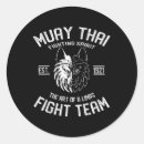 Search for sessions stickers Explosive striking power