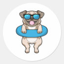 Search for swimming dog stickers Funny
