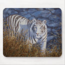 Search for bengal tigers electronics Wild animals