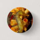 Search for seahorse badges Fish