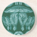 Search for unusual coasters Vintage