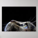 Search for cat profile posters Pet