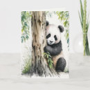 Search for panda bear birthday cards Wildlife
