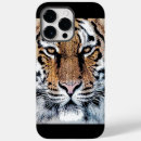 Search for tiger s eye electronics Wild