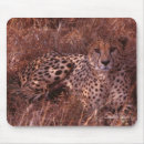 Search for tracking dog mousepads Wildlife