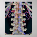 Search for internal angle posters Vertical