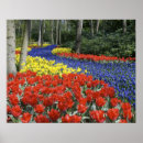 Search for keukenhof holland posters Netherlands