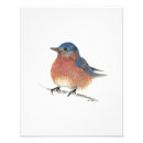 Search for birding art Cute