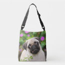 Search for dog face bags Cute