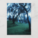 Search for etherial Trees