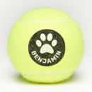 Search for fetch Dog