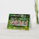Search for bird bath cards Nature