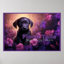 Search for large flower posters Petals