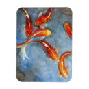 Search for koi magnets Swimming