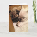 Search for dog get well cards Unique