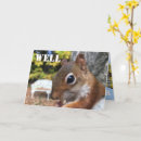 Search for cute squirrels cards Wildlife