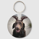 Search for rudolf Season