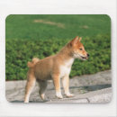 Search for interest mousepads Mind