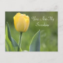 Search for sunshine photography Floral