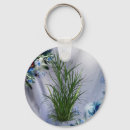 Search for creationism key rings Creations