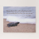 Search for turtle quotes Ocean