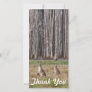 Search for kangaroo thank you cards Nature